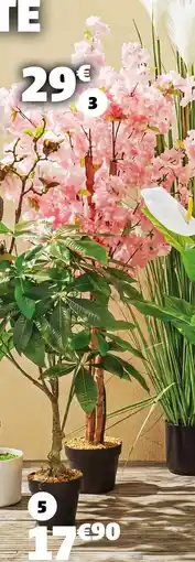 Gifi Cerisier japonais offre