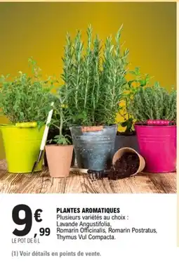 E.Leclerc Plantes aromatiques offre