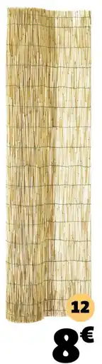 Gifi Canisse roseau offre