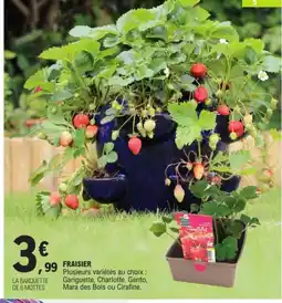 E.Leclerc Fraisier offre