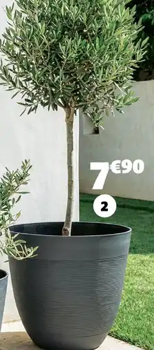 Gifi Cache-pot effet ligne offre