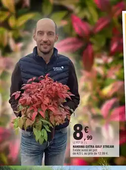 E.Leclerc Nandina extra gulf stream offre