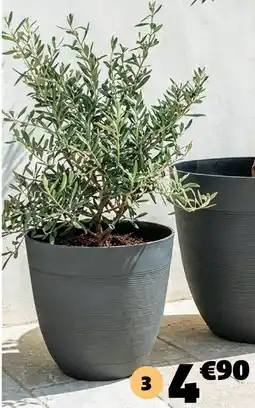 Gifi Cache pot effet ligne 0 offre