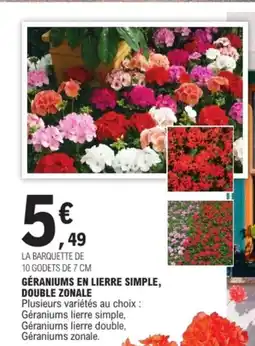 E.Leclerc Géraniums en lierre simple, double zonale offre
