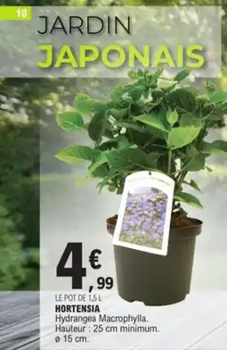 E.Leclerc Hortensia offre