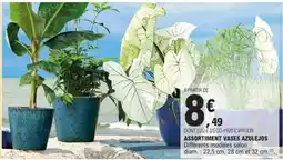 E.Leclerc Assortiment vases azulejos offre