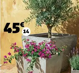 Gifi Cache pot fibre argile offre