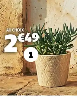 Gifi Cache pot offre