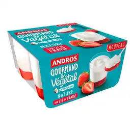 Carrefour Market Andros dessert végétal brassé offre