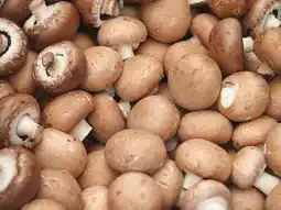 Carrefour Market Champignons de paris bruns filière qualité carrefour offre