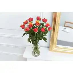 Carrefour Carrefour bouquet de 12 roses offre