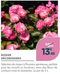 Point Vert Rosier décorosier offre