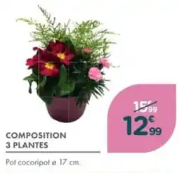 Point Vert Composition 3 plantes offre