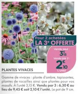 Point Vert Plantes vivaces offre