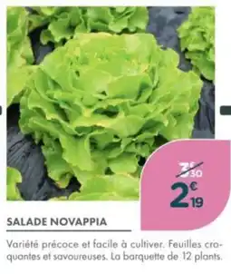 Point Vert Salade novappia offre