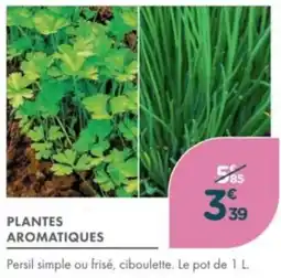 Point Vert Plantes aromatiques offre