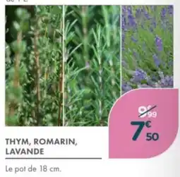 Point Vert Thym romarin lavande offre