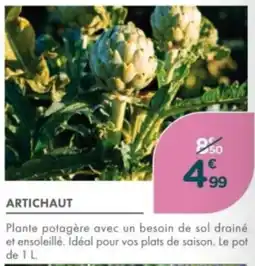 Point Vert Artichaut offre