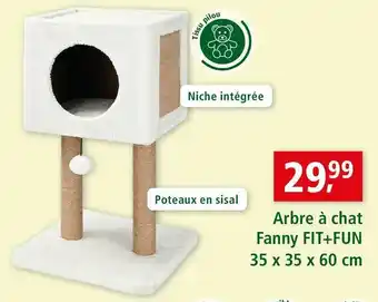 Maxi Zoo Fit+fun arbre à chat fanny offre
