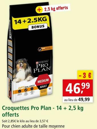 Maxi Zoo Pro plan croquettes offre