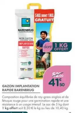 Point Vert Gazon implantation rapide barenbrug offre