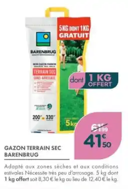Point Vert Gazon terrain sec barenbrug offre