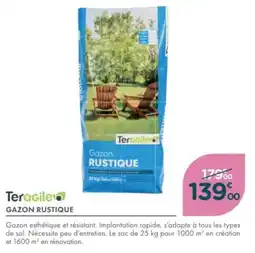 Point Vert Teragile gazon rustique offre