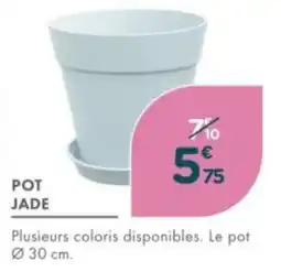 Point Vert Pot jade offre