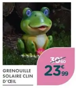 Point Vert Grenouille solaire clin d'œil offre