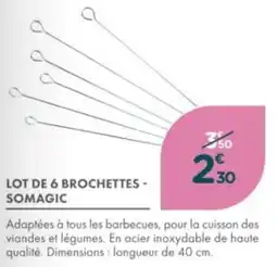 Point Vert Lot de 6 brochettes somagic offre