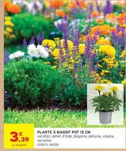 Intermarché PLANTE À MASSIF POT 12 CM offre