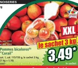 Norma Pommes bicolores corail offre
