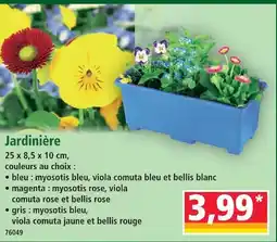 Norma Jardinière offre