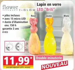 Norma Flower power lapin en verre led ”brili” offre