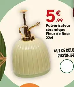 Maxi Bazar Pulvérisateur céramique offre