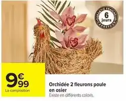 Carrefour Drive Orchidée 2 fleurons poule en osier offre
