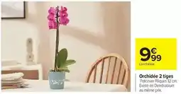 Carrefour Drive Orchidée 2 tiges offre