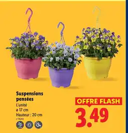 Lidl Suspensions pensées offre