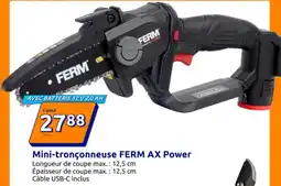 Action Mini-tronçonneuse FERM AX Power offre