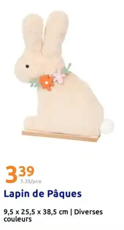 Action Lapin de Pâques offre