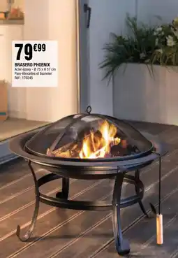 La Foir'Fouille BRASERO PHOENIX offre