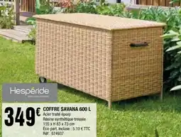 La Foir'Fouille COFFRE SAVANA offre