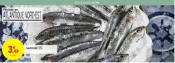Intermarché Hyper Sardine offre