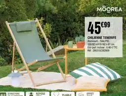 La Foir'Fouille CHILIENNE TENERIFE offre