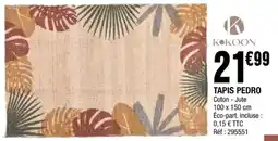 La Foir'Fouille TAPIS PEDRO offre