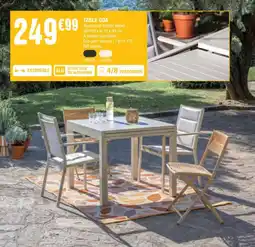 La Foir'Fouille TABLE GOA offre