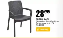 La Foir'Fouille FAUTEUIL DAISY offre
