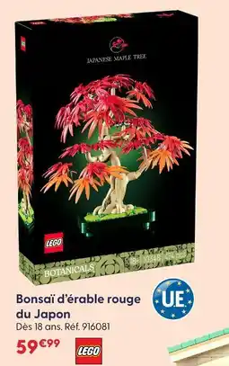 La Grande Récré Lego bonsaï d'érable rouge du japon offre