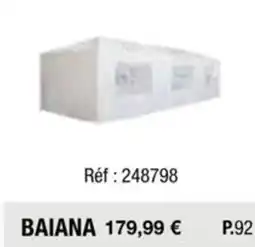 La Foir'Fouille BAIANA offre