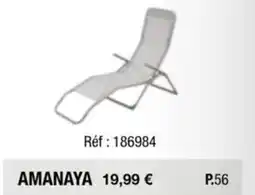 La Foir'Fouille AMANAYA offre